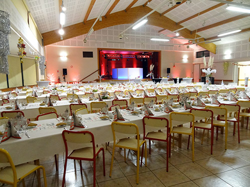 Animation soir&eacute;e d'entreprise comit&eacute; CSE arbre de no&euml;l DJ Manche Calvados
