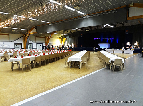 DJ soir&eacute;e d'entreprise repas arbre de No&euml;l, Manche Calvados Orne