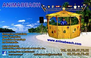 Animabeach Animation sonorisation dj mariage manche